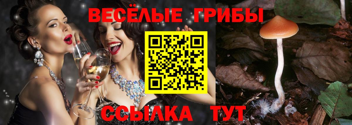 Кумертау  Галлюциногенные грибы ЛСД  Вход с VPN  Псилоцибиновые грибы MAGIC MUSHROOMS 