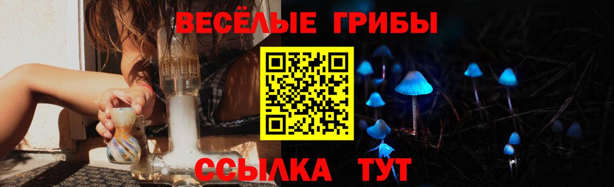 Псилоцибиновые грибы прущие грибы Кумертау